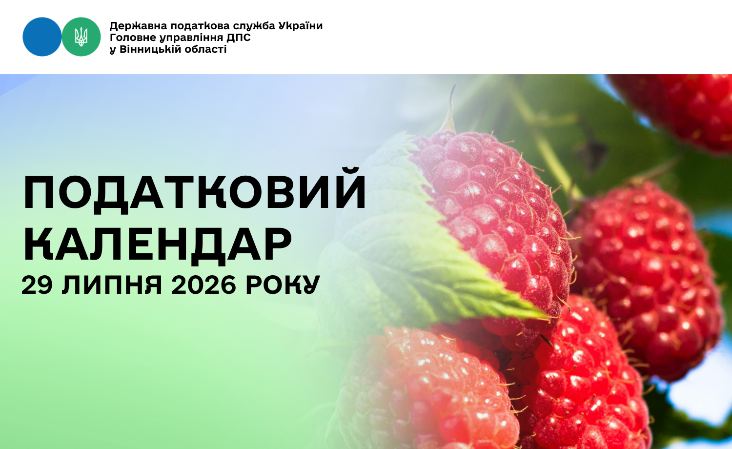 Податковий календар на 29 липня 2026 року